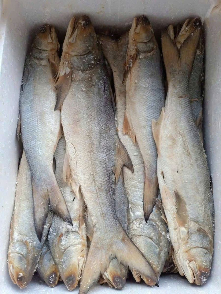 Cá chét muối dùi