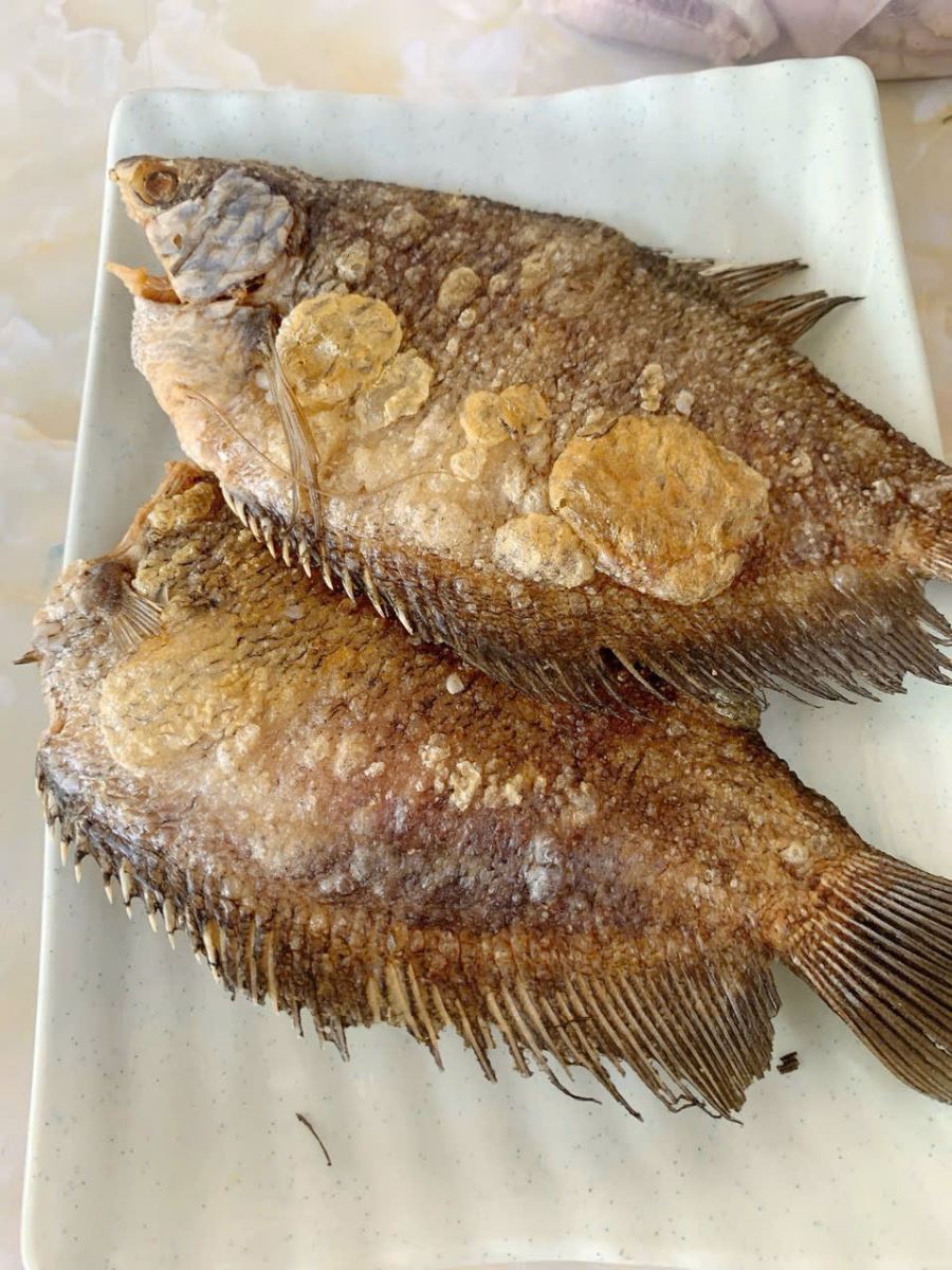 Gỏi rau sầu đâu