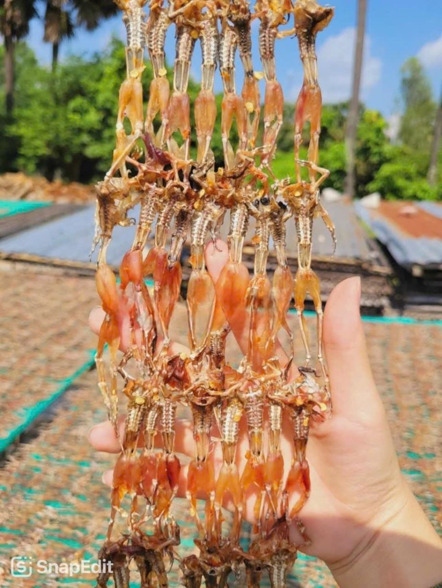 Khô nhái An Giang