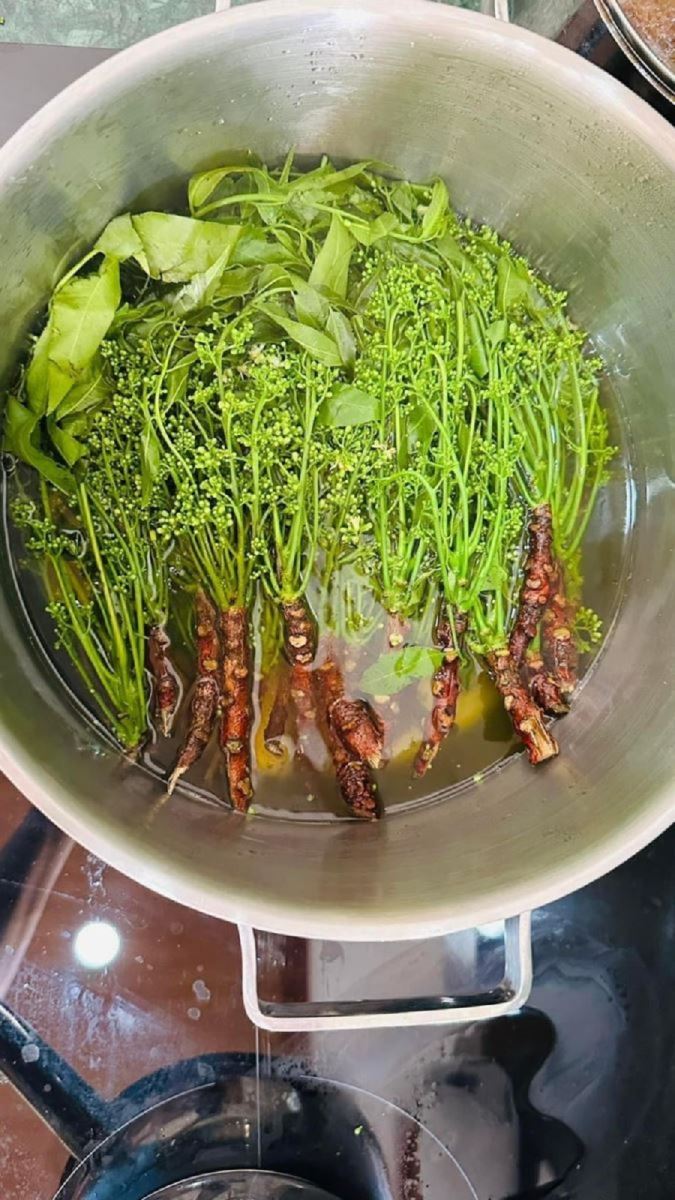 Rau sầu đâu