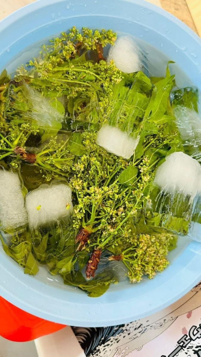 rau sầu đâu